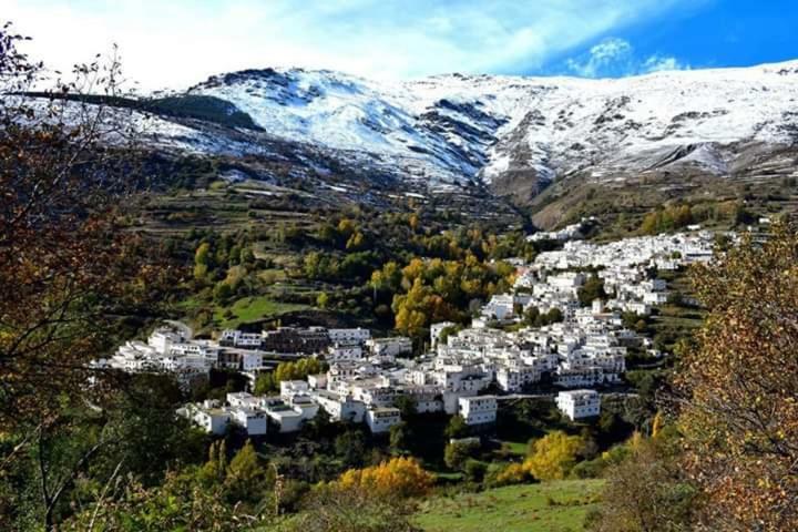 Apartamentos Casa Fermina - A 2 Horas De Las Pistas De Esqui Trevélez Kültér fotó